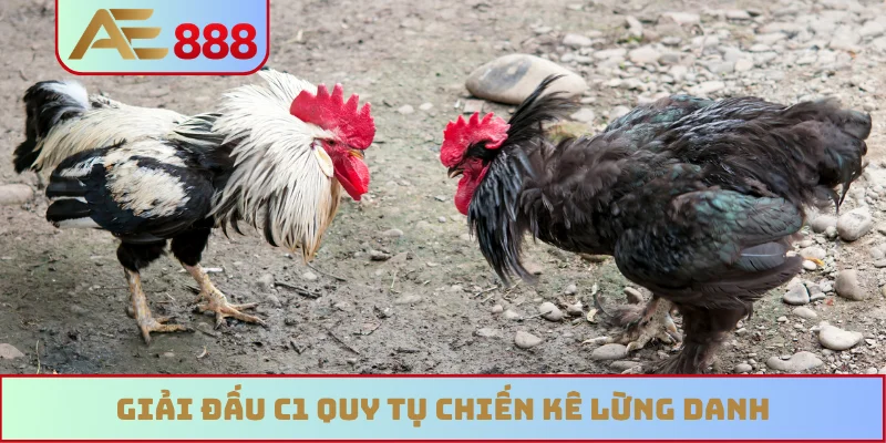 Giải đấu C1 quy tụ chiến kê lừng danh