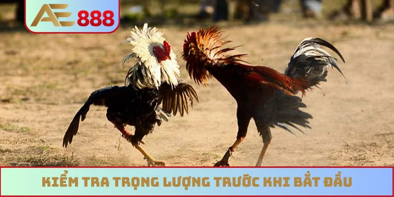 Kiểm tra trọng lượng trước khi bắt đầu