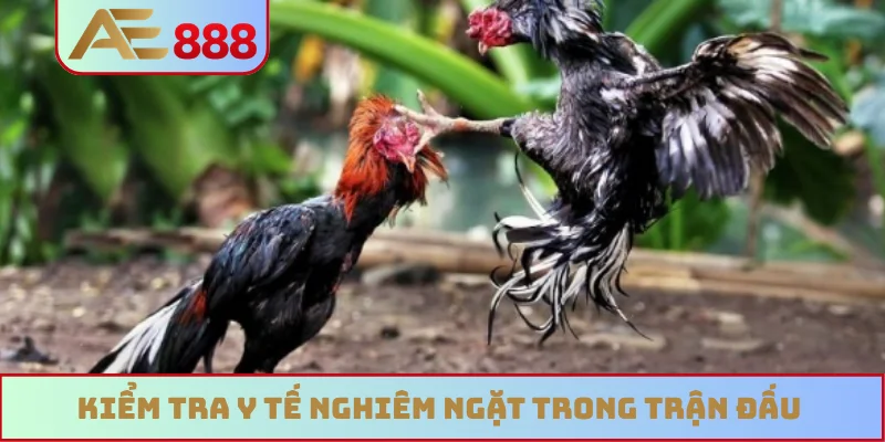 Kiểm tra y tế nghiêm ngặt trong trận đấu