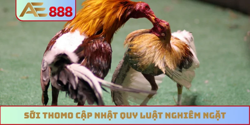 Sới Thomo cập nhật quy luật nghiêm ngặt
