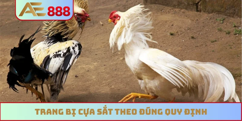 Trang bị cựa sắt theo đúng quy định